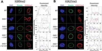 Emerin interacts with histone methyltransferases to regulate repressive chromatin at the nuclear periphery